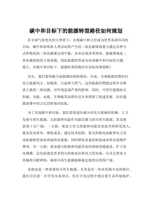 碳中和目标下的能源转型路径如何规划