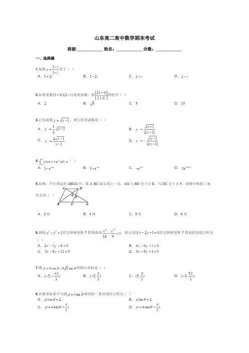 山东高二高中数学期末考试带答案解析
