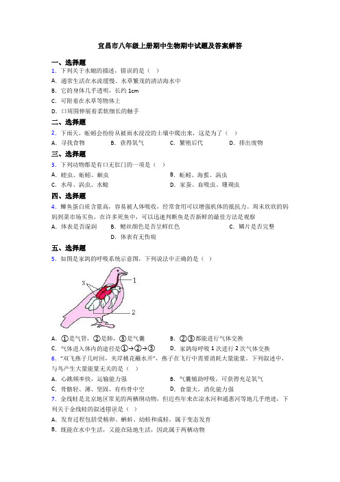 宜昌市八年级上册期中生物期中试题及答案解答