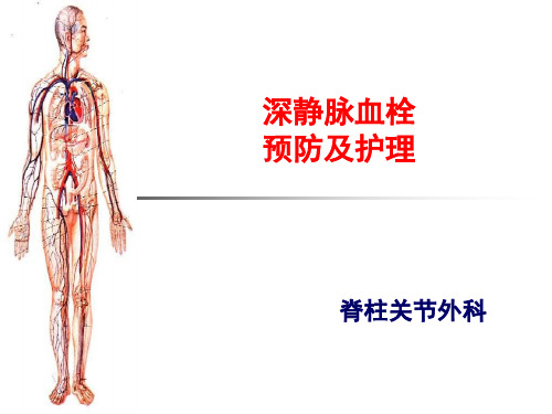 下肢深静脉血栓危险因素及预防