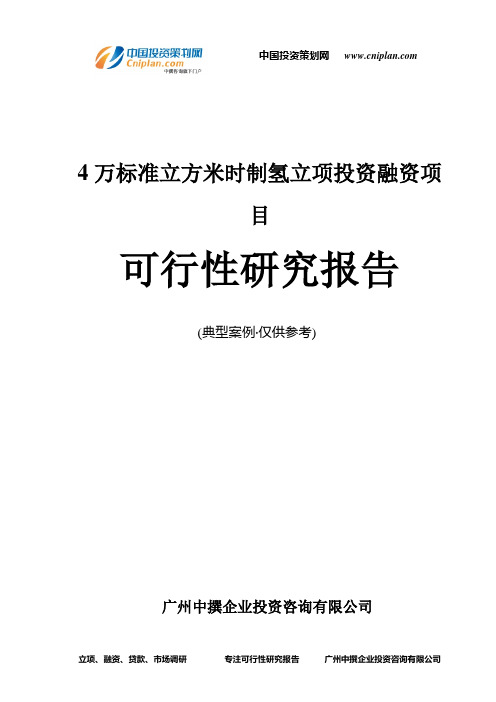 4万标准立方米时制氢融资投资立项项目可行性研究报告(非常详细)