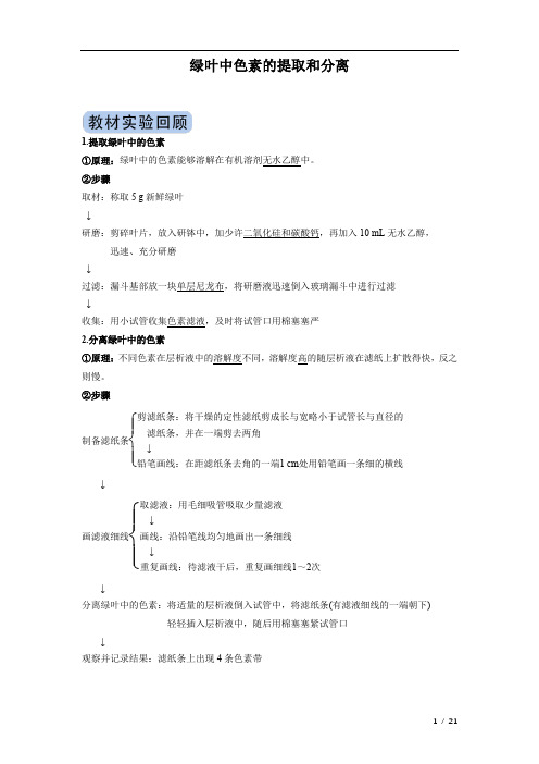 冲刺2020高考生物实验突破专题：绿叶中色素的提取和分离(附答案及解析)