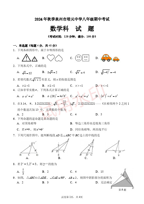 福建泉州培元中学2024年八年级上学期11月期中考试数学试题