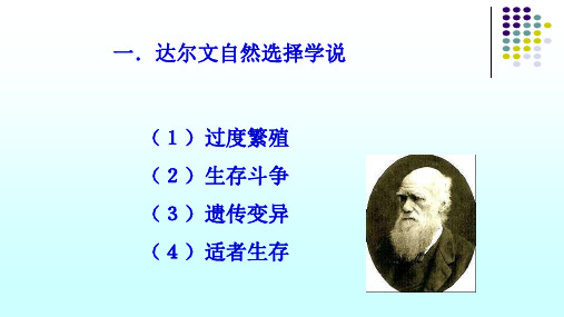 人教版必修2生物：7.1 现代生物进化理论的由来 课件(共32张PPT)1