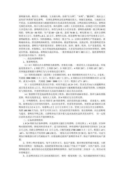 番鸭喂养方法经验