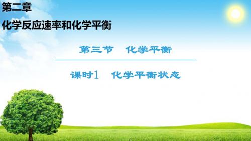 2018-2019学年人教版选修4 第2章第3节 化学平衡(第1课时) 课件(43张)
