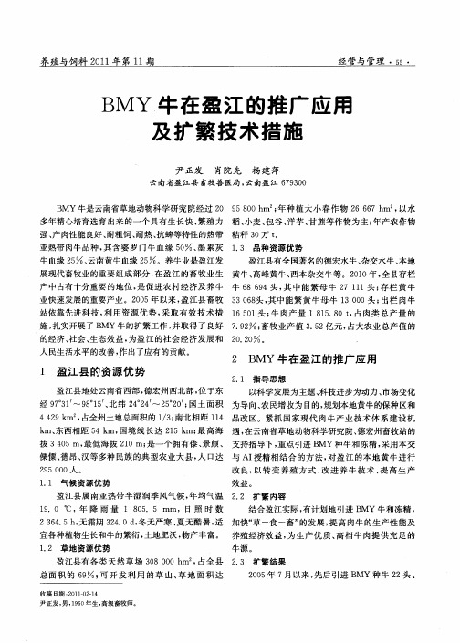 BMY牛在盈江的推广应用及扩繁技术措施