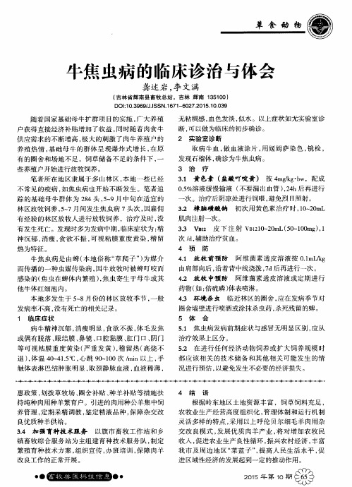 牛焦虫病的临床诊治与体会