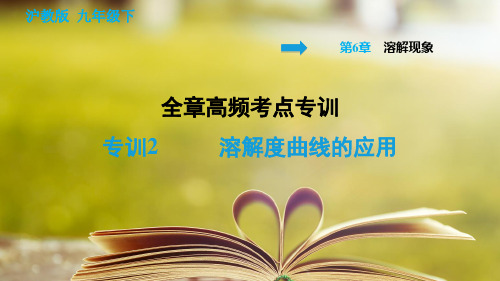 沪教版化学九年级下册第六章《溶解现象》全章高频考点专训 专训2 溶解度曲线的应用