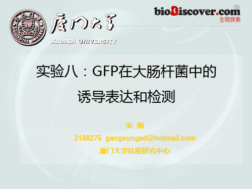 GFP在大肠杆菌中的诱导表达和检测