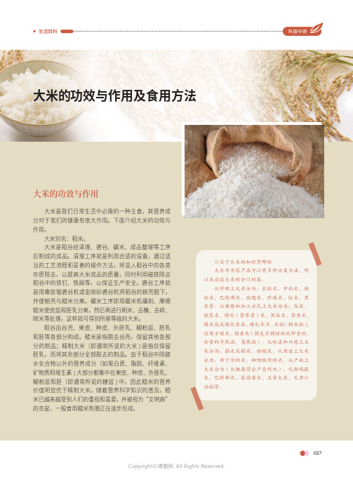 大米的功效与作用及食用方法