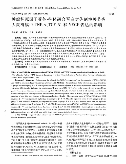 肿瘤坏死因子受体-抗体融合蛋白对佐剂性关节炎大鼠滑膜中TNF-α、TG