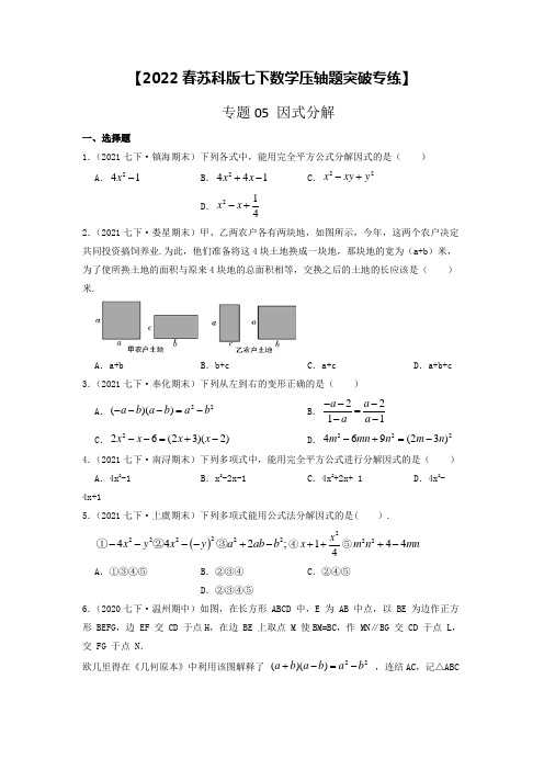 专题05 因式分解【2022春苏科版七下数学压轴题突破专练】(原卷版)