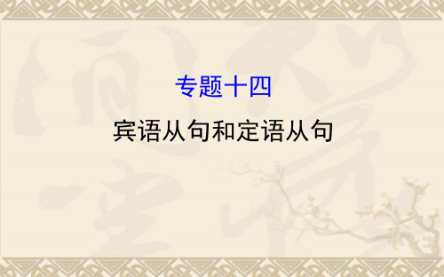 中考复习九年级英语专题复习 题型 十四  宾语从句和定语从句