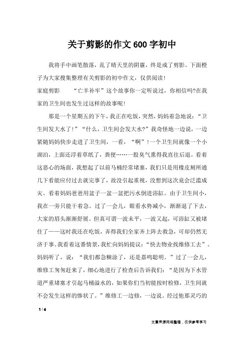 关于剪影的作文600字初中_初中作文