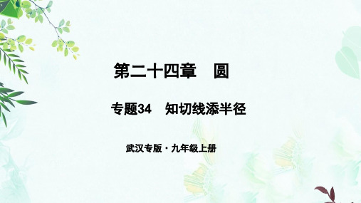 九年级数学上册第二十四章圆专题34知切线添半径课件新版新人教版