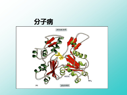 分子病