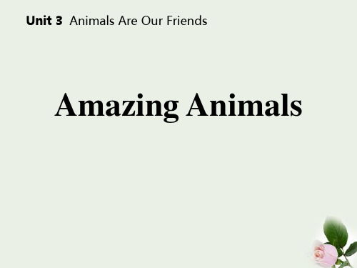 《Amazing Animals》Animals Are Our Friends 教学 图文