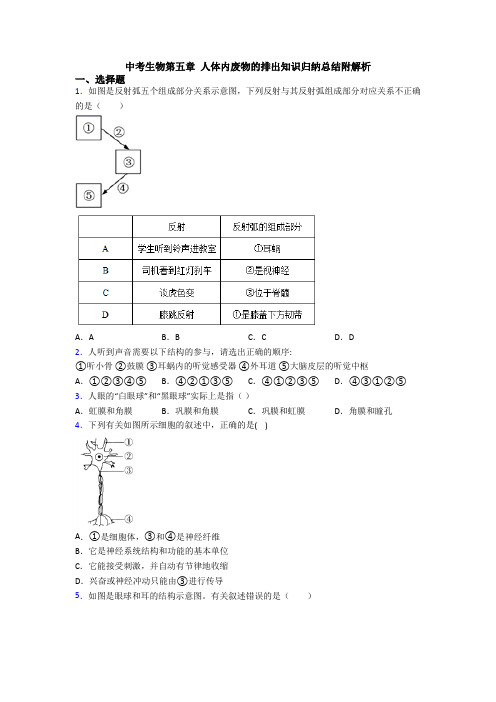 中考生物第五章 人体内废物的排出知识归纳总结附解析