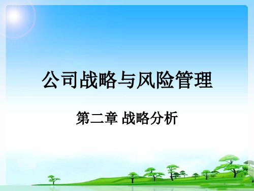 公司战略与风险管理课件(PPT 64页)