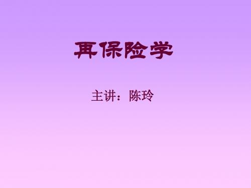 再保险电子教案