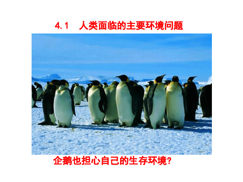湘教版地理必修二 4.1人类面临的主要环境问题(共24张PPT)