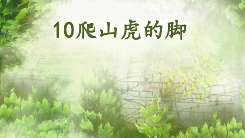 10《爬山虎的脚》第二课时课件(共29张PPT)