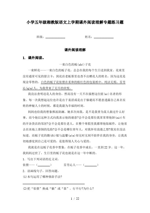 小学五年级湘教版语文上学期课外阅读理解专题练习题