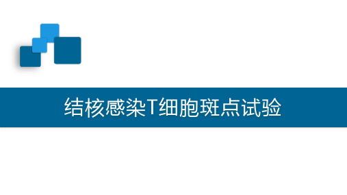 结核感染T细胞斑点试验