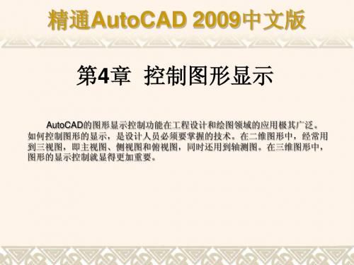 精通AutoCAD 2009中文版第4章简明教程PPT课件