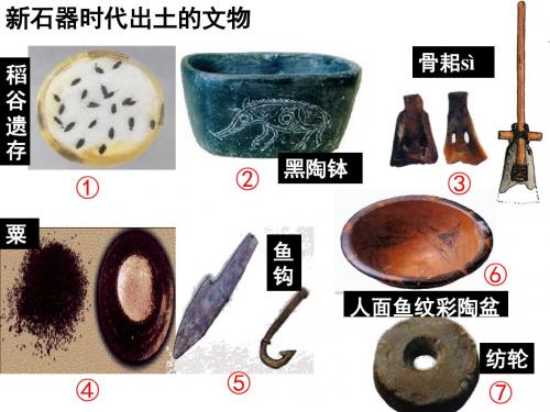 8.2.1大河流域的文明发祥地(张用)