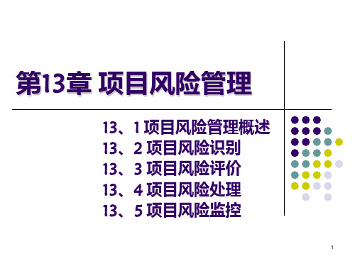 第十三章 项目风险管理PPT课件