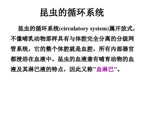 最新昆虫生理学(循环系统)主题讲座课件