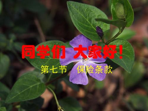 第八节    检验条款