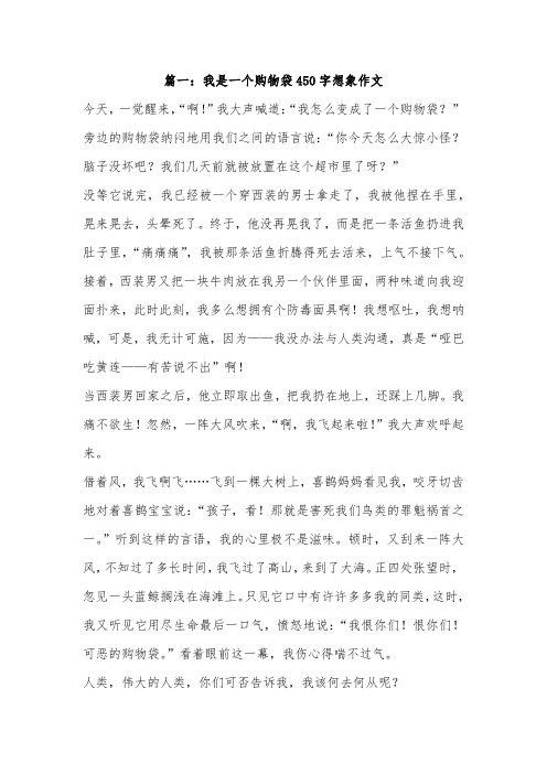 我的小口袋想象作文