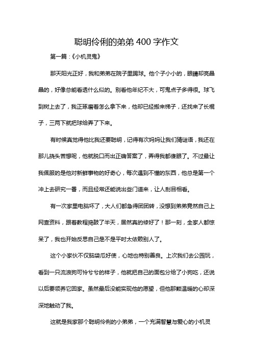 聪明伶俐的弟弟400字作文