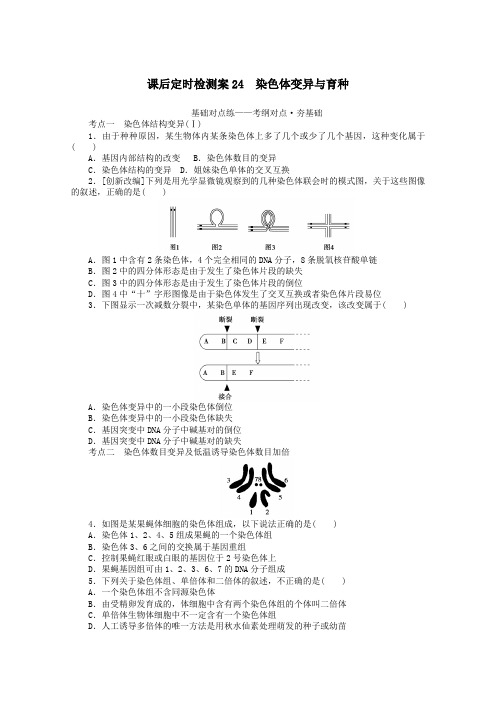 2021高考生物一轮复习课后定时检测案24染色体变异与育种(含解析)新人教版