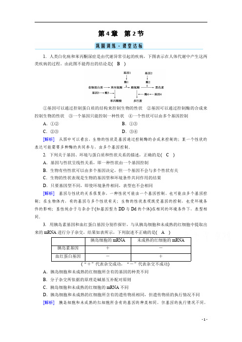 2021高中生物人教版必修2：第4章 第2节 基因表达与性状的关系 巩固训练 含解析