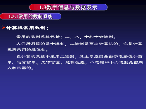 数字信息与数据表示资料