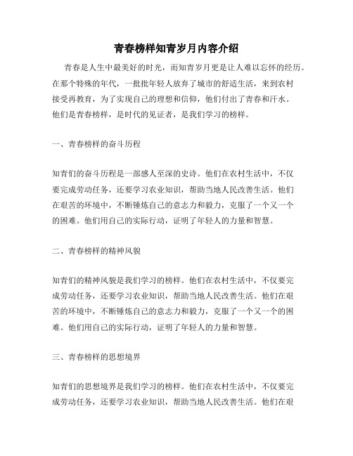 青春榜样知青岁月内容介绍