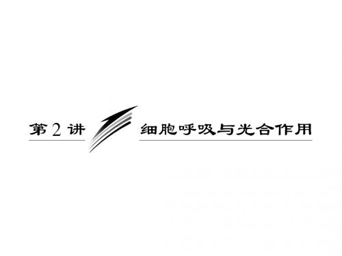 生物高考二轮复习- 细胞呼吸与光合作用