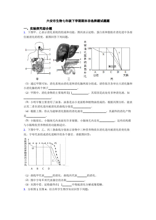 六安市生物七年级下学期期末非选择题试题题