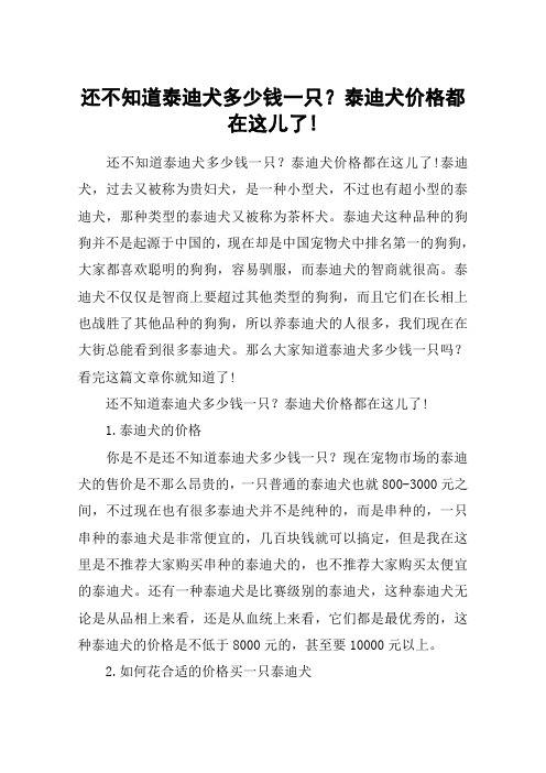 还不知道泰迪犬多少钱一只？泰迪犬价格都在这儿了!