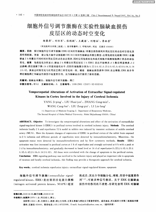 细胞外信号调节激酶在实验性脑缺血损伤皮层区的动态时空变化