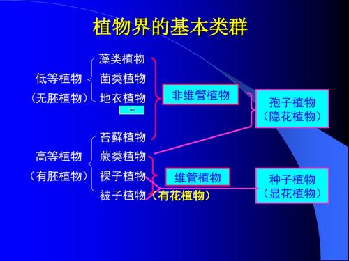 04植物界的基本类群与演化-1低等植物