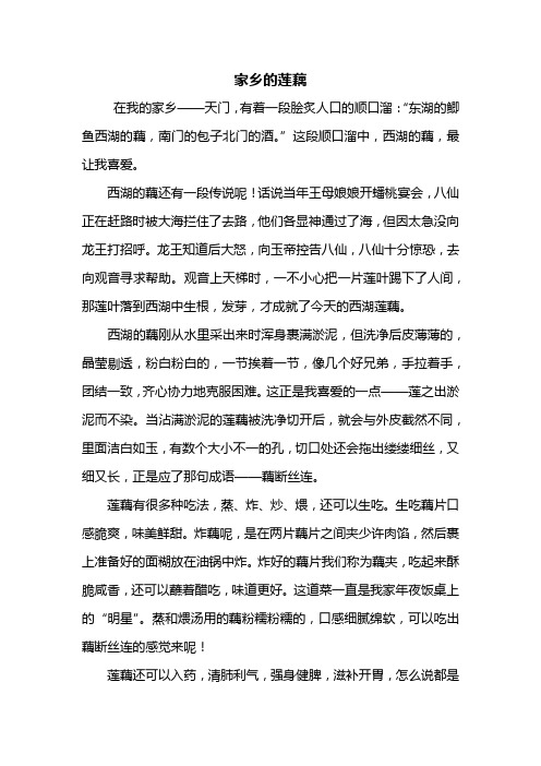 四年级作文:家乡的莲藕作文600字