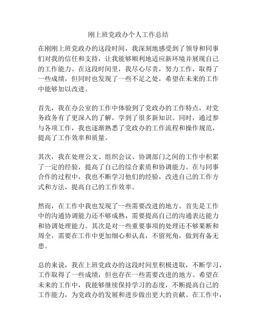 刚上班党政办个人工作总结