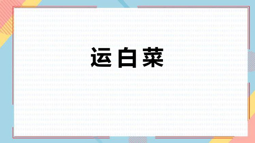 北师大版三年级数学上册 (运白菜)加与减课件教学