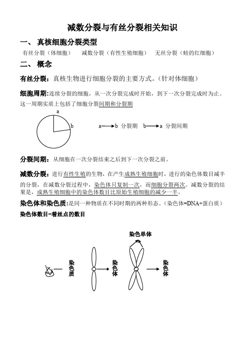 (完整word版)减数分裂与有丝分裂异同