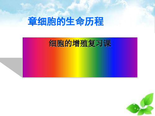 细胞的增殖复习课ppt课件(自制)